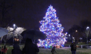 Brentwood Christmas Tree Lighting Event_Brighten Brentwood
