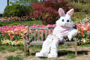 Easter Bunny event, photos with the Easter Bunny and egg hunts in Nashville, Franklin and Williamson County, TN.