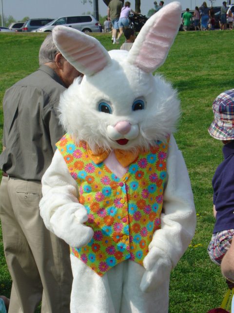 Easter Bunny, kids activities and events in Franklin, TN, egg hunts, festivals and things to do in Franklin.