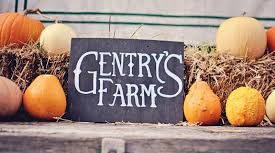 gentrys-farm-pumpkins