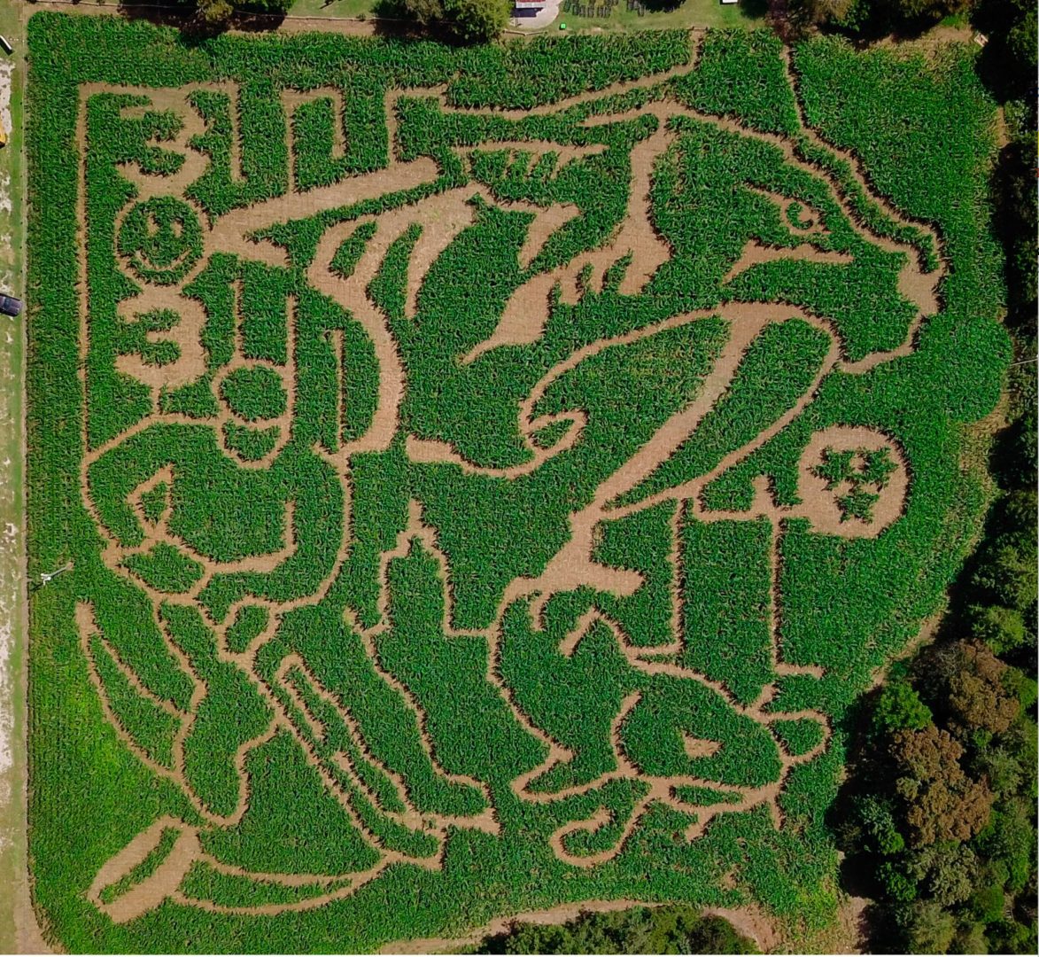 Lucky Ladd Farms Nashville Predators themed corn maze at their family festival!