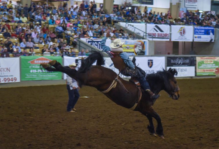 The Franklin Rodeo in Franklin, TN, a fun family event for all ages!