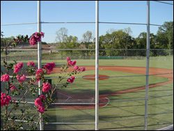 Baseball field, Franklin, TN parks offer sports fields for youth and adult sports.