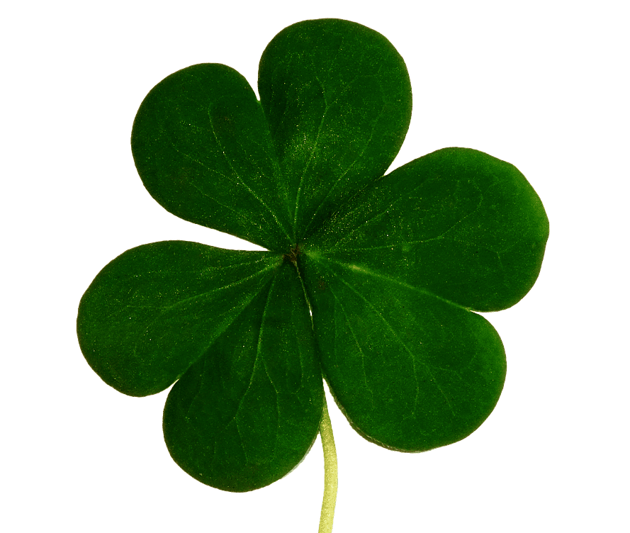 four leaf clover-