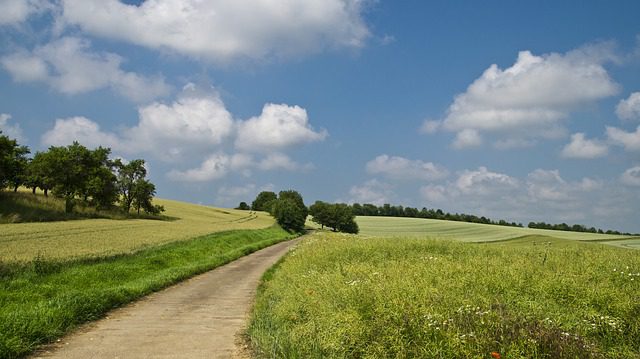 A field, Williamson County and Franklin, TN community events, best restaurants in Franklin, food, shopping, fun activities and more at FranklinIs.