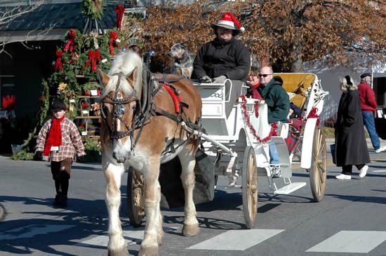 Leipers Fork Christmas Parade and Celebration.