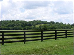Sights to see on the way to Leiper's Fork in Franklin and Thompson's Station