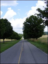 Views on the way to Leiper's Fork in Franklin and Thompson's Station