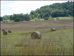 Hay barrels on the way to Leiper's Fork in Franklin and Thompson's Station