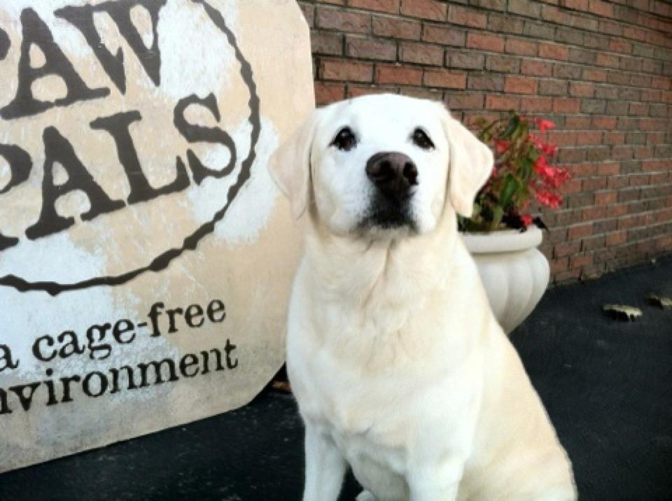 FranklinIs Downtown Franklin & Brentwood Events, Things to Do