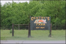 Gentry's Farm Franklin, TN, a historic working farm located in the gently rolling hills of Franklin, Tennessee. 