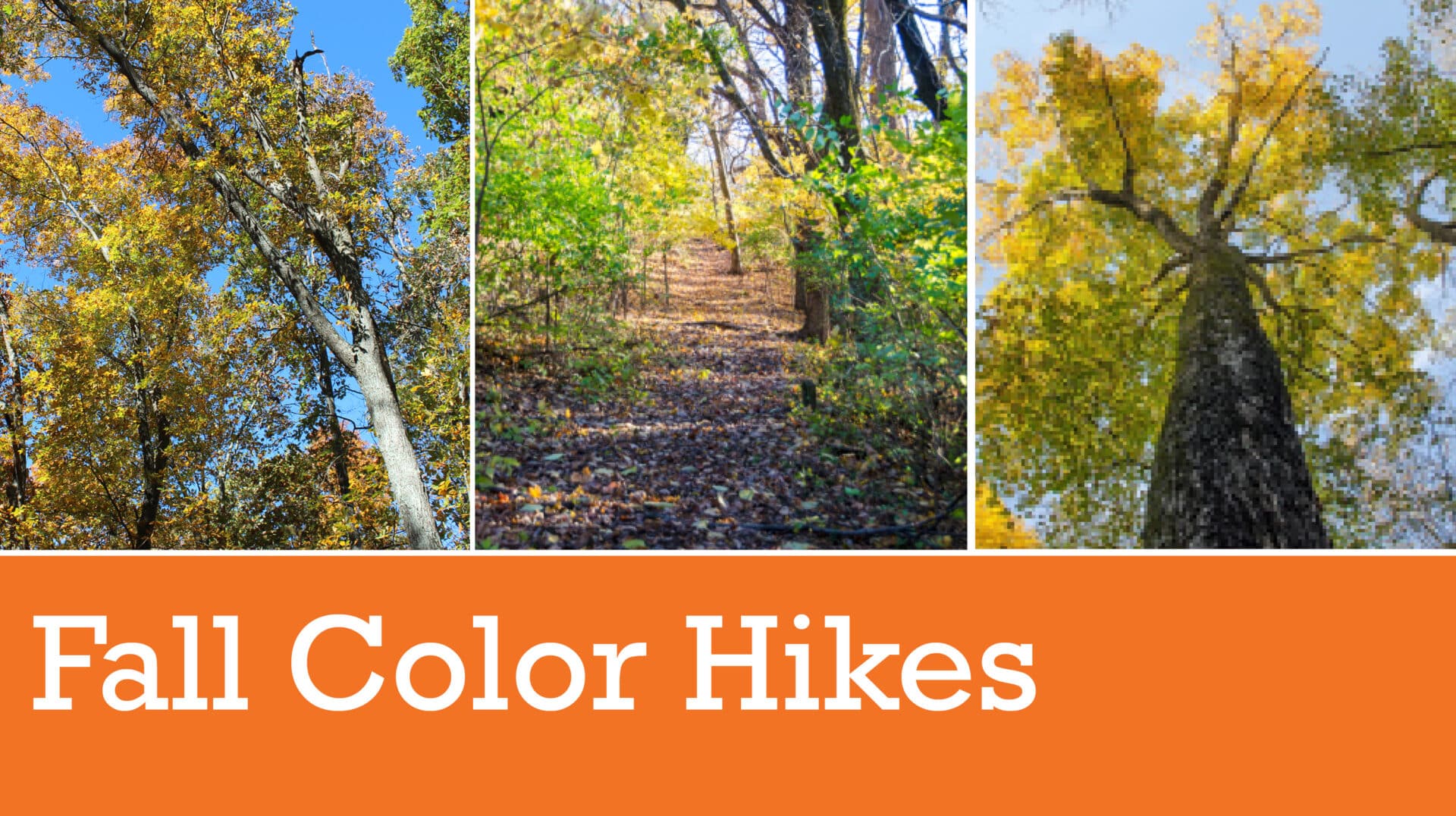 Fall Color Hikes in Brentwood, TN at Owl's Hill Nature Sanctuary.