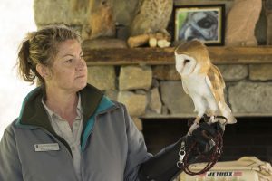 Owl Day at Owl's Hill, a fun event for all ages in Brentwood, TN, Franklin, TN and Williamson County, TN.