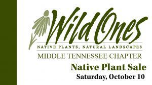 Native plant sale in Brentwood, TN at Owl's Hill, shop plants and proceeds from the day’s sales will benefit Owl’s HIll Nature Sanctuary and Middle Tennessee Wild Ones.