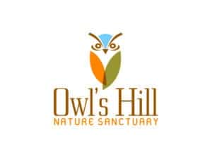 Owl's Hill Nature Sanctuary, outdoor activities in Brentwood, TN for kids and adults alike!