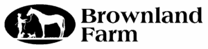 Brownland Farm Franklin, TN Horse Races.