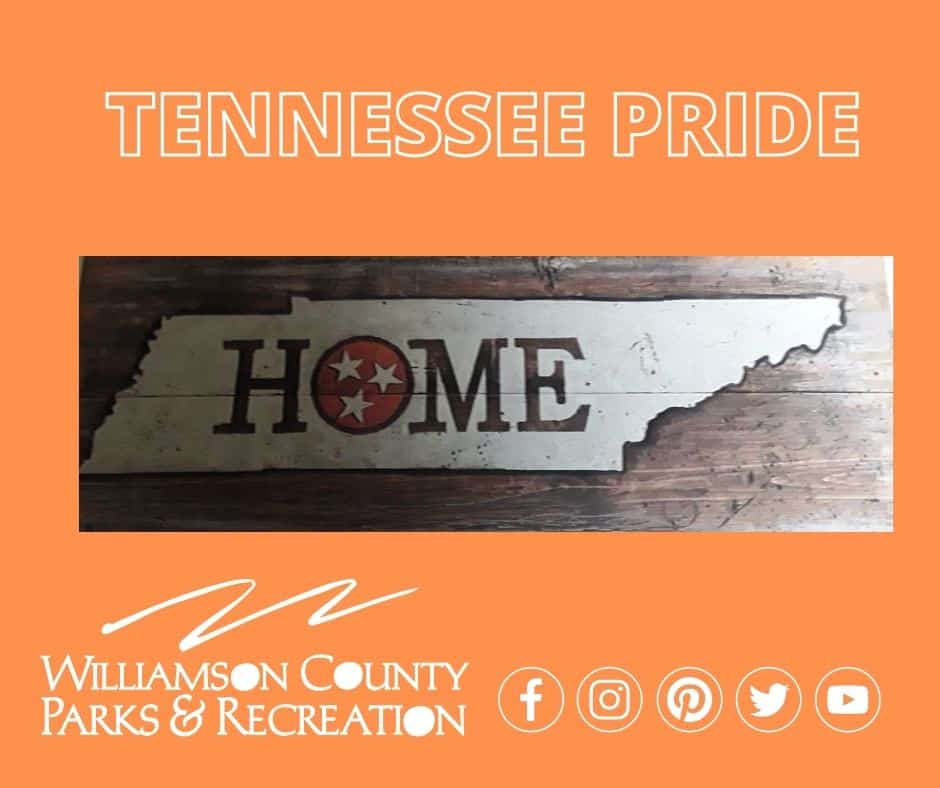 Fall Paint Party- Tennessee Pride Acrylic on Wood