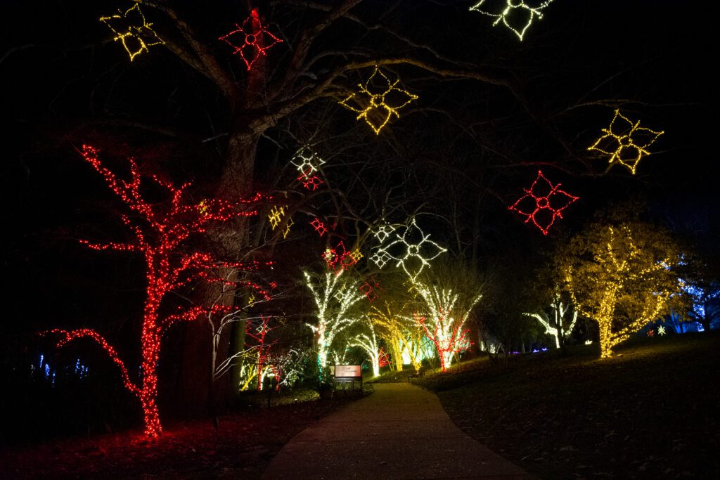 Nashville Holiday Lights Festival Cheekwood_©Caitlin Harris Photography