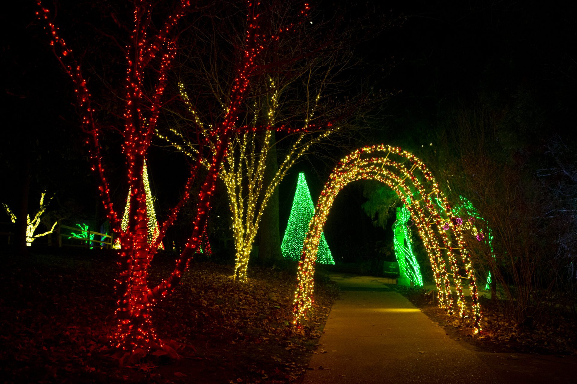 Nashville TN Holiday Lights Festival Cheekwood_©Caitlin Harris Photography.