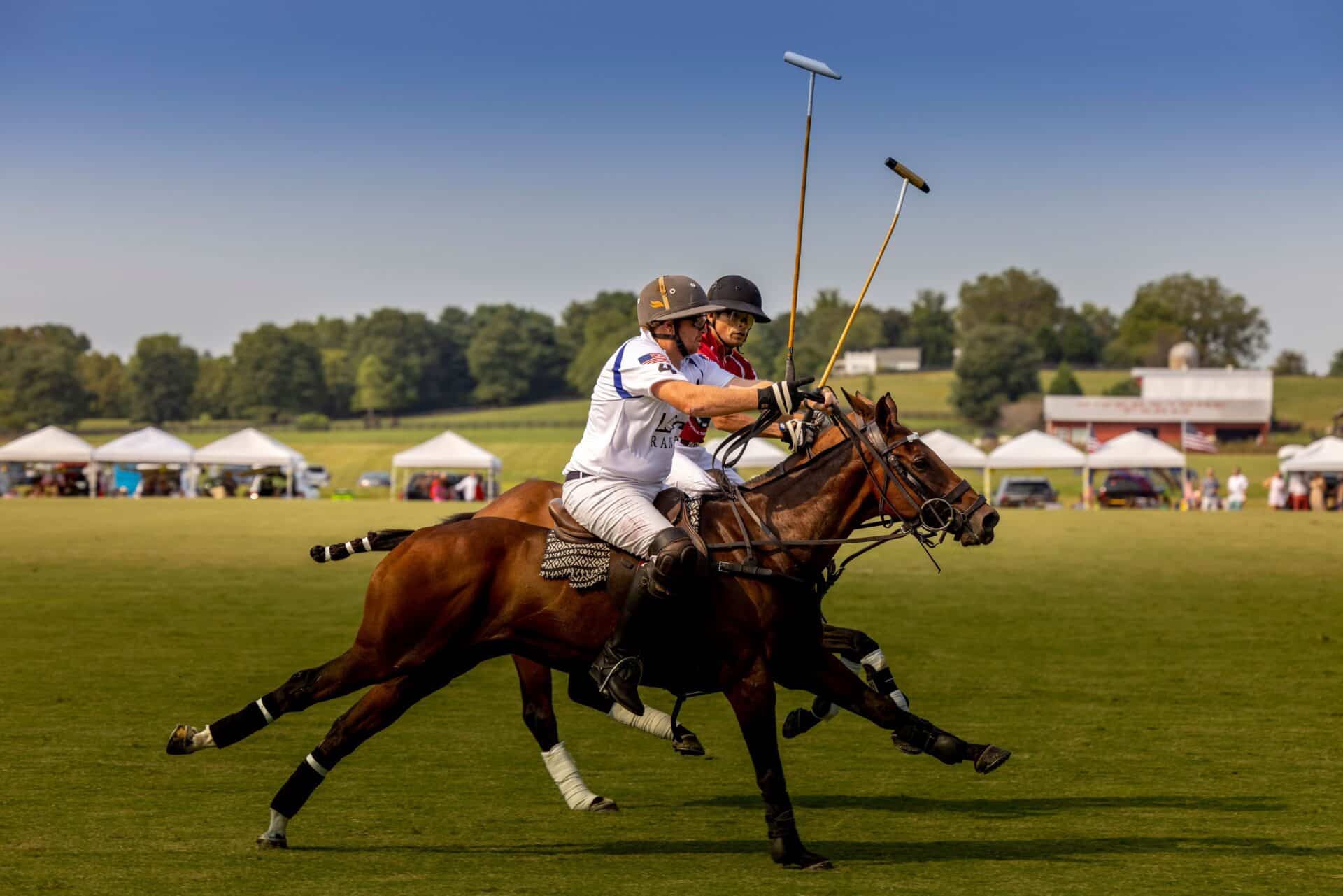 Polo action at Chukkers for Charity event in Franklin.