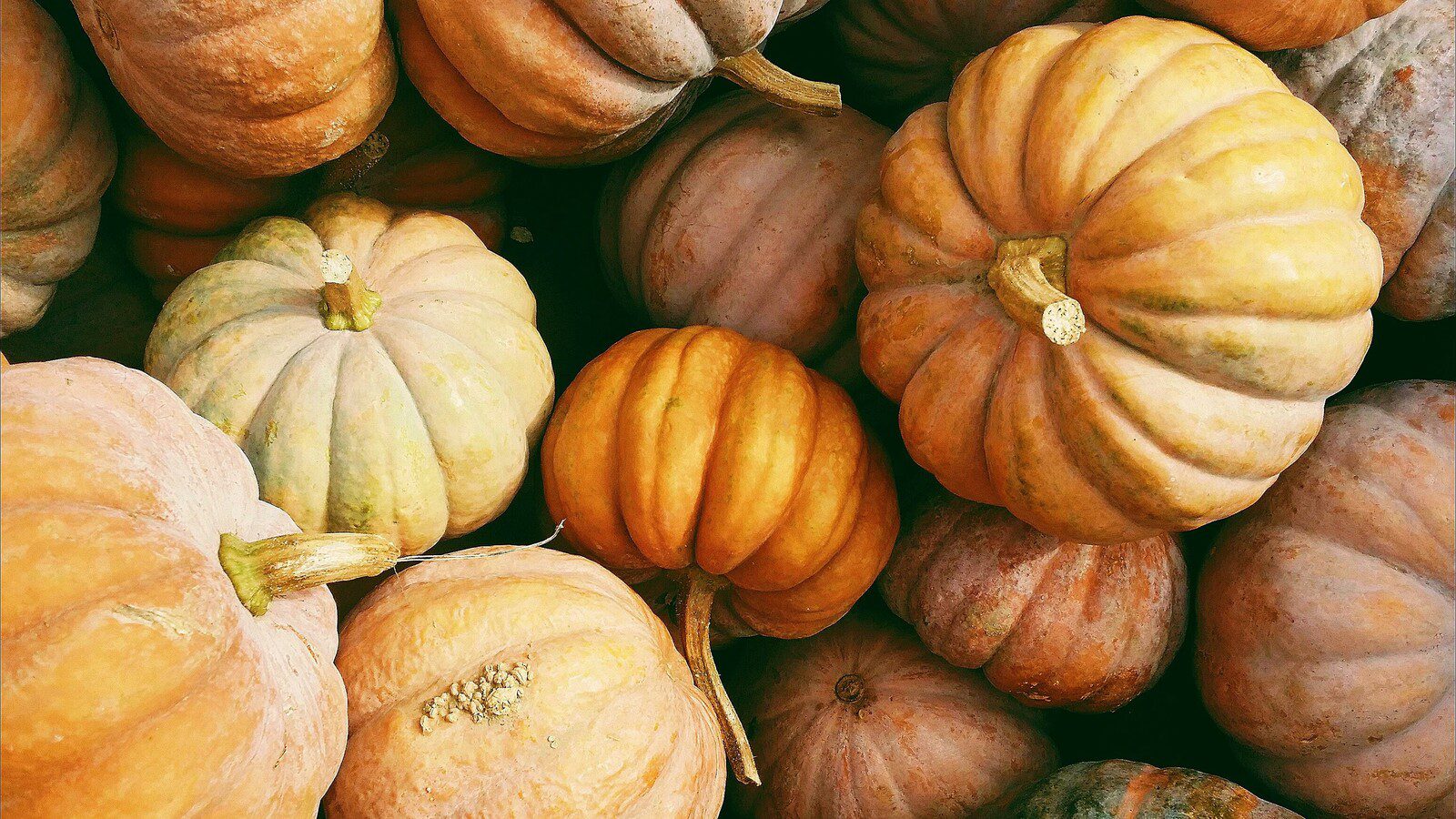 Setting The Thanksgiving Table with Gracious Home - Thanksgiving Pumpkins