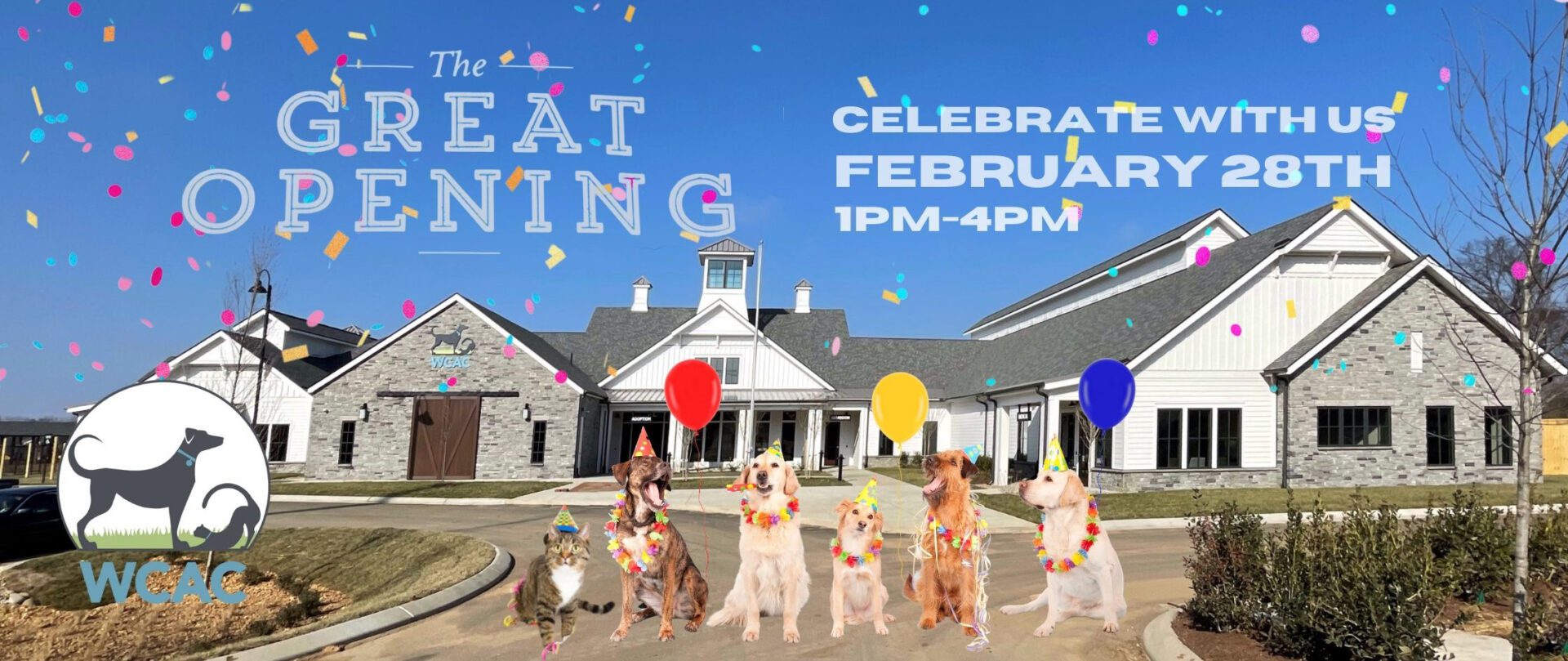 Williamson County Animal Center Grand Opening in Franklin, TN.