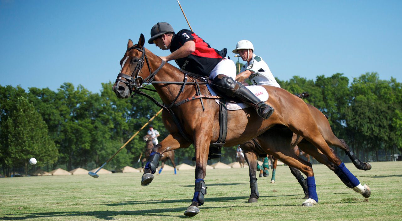 Polo event, Chukkers for Charity in Franklin, TN, a family friendly event fun for all ages.