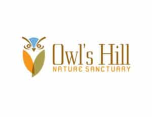 Owl's Hill Summer Camps for kids in Brentwood, TN, kids activities and events that are fun for all ages!