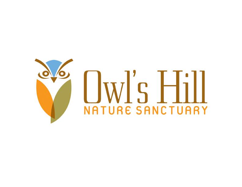 Owl's Hill Summer Camps Brentwood, TN