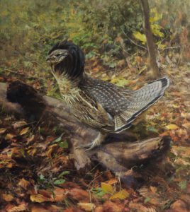 Moraleda Ruffed Grouse Painting.