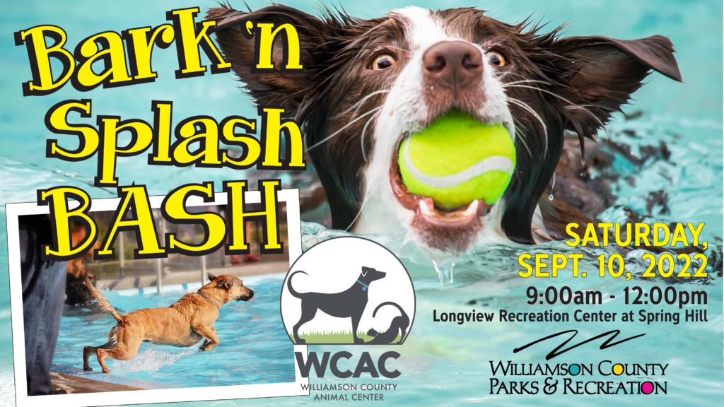 Pet friendly event, Bark 'n Splash, an event in Williamson County, TN.
