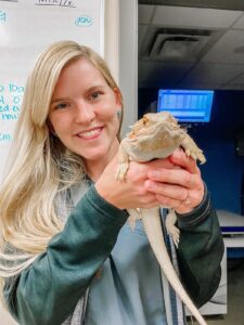 Bre_Bearded Dragon_Williamson County Animal Hospital Franklin.