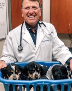 Dr.Forrest_Puppies_Williamson County Animal Hospital Franklin, Tenn.
