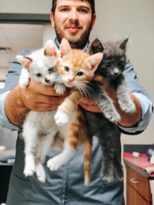 Dr James_Foster Kittens_Williamson County Animal Hospital Franklin.