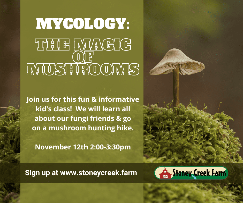 Kid’s Class- Mycology – the Magic of Mushrooms, Franklin, TN kids activities.