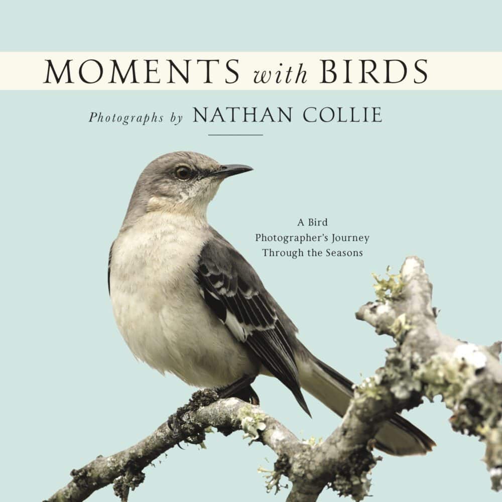 Nathan Collie book signing event in Lieper's Fork Franklin, TN-Moments with Birds cover.