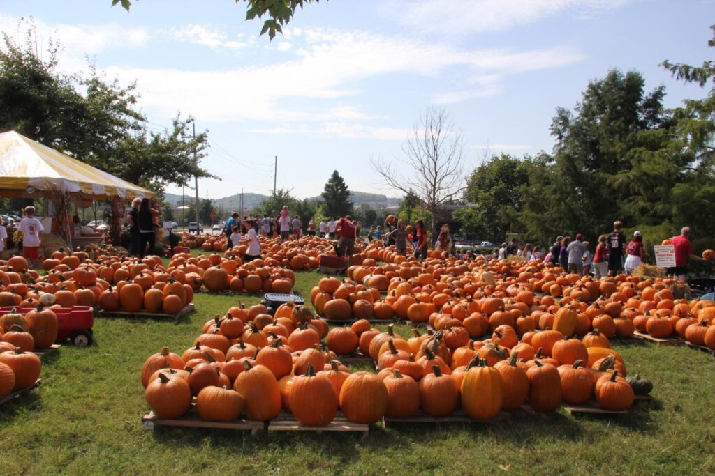 Cooper Trooper Foundation Pumpkin Patch Franklin, TN.