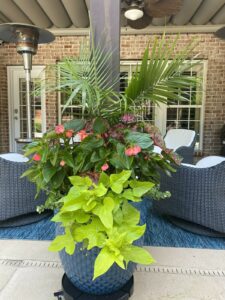 Franklin Flowers custom flower pots and garden creations 5.