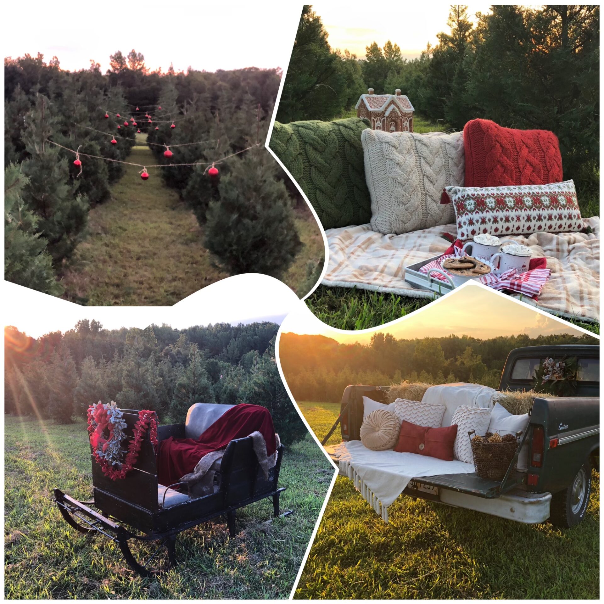 Pinewood Christmas Tree Farm event in Franklin.