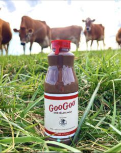 Cow #1 - Goo Goo Cluster, Twice Daily, Flowers Creamery