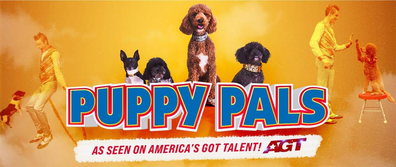 Puppy Pals As Seen On America's Got Talent