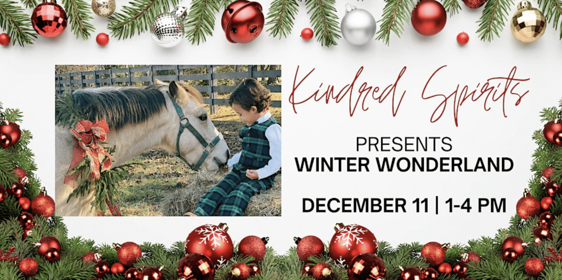 Kindred Spirits Farm Winter Wonderland event in Franklin, TN.