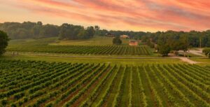 Arrington Vineyards