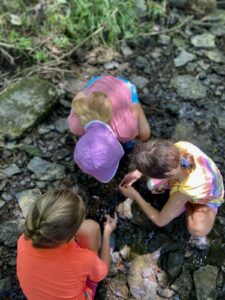 Stoney Creek Farm Franklin, TN_Kids Activities