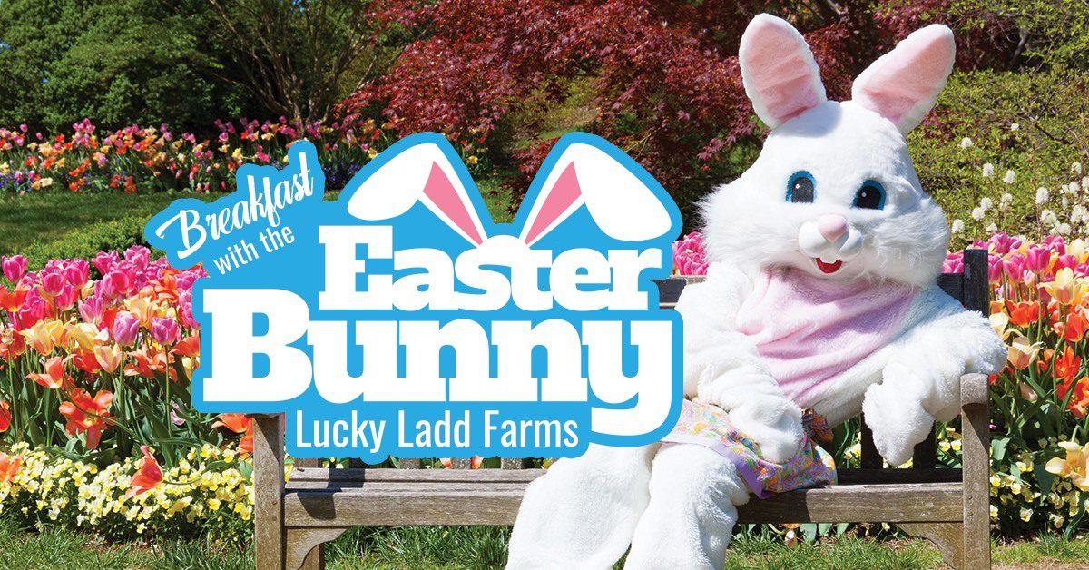 Breakfast with the Easter Bunny at Lucky Ladd Farms.