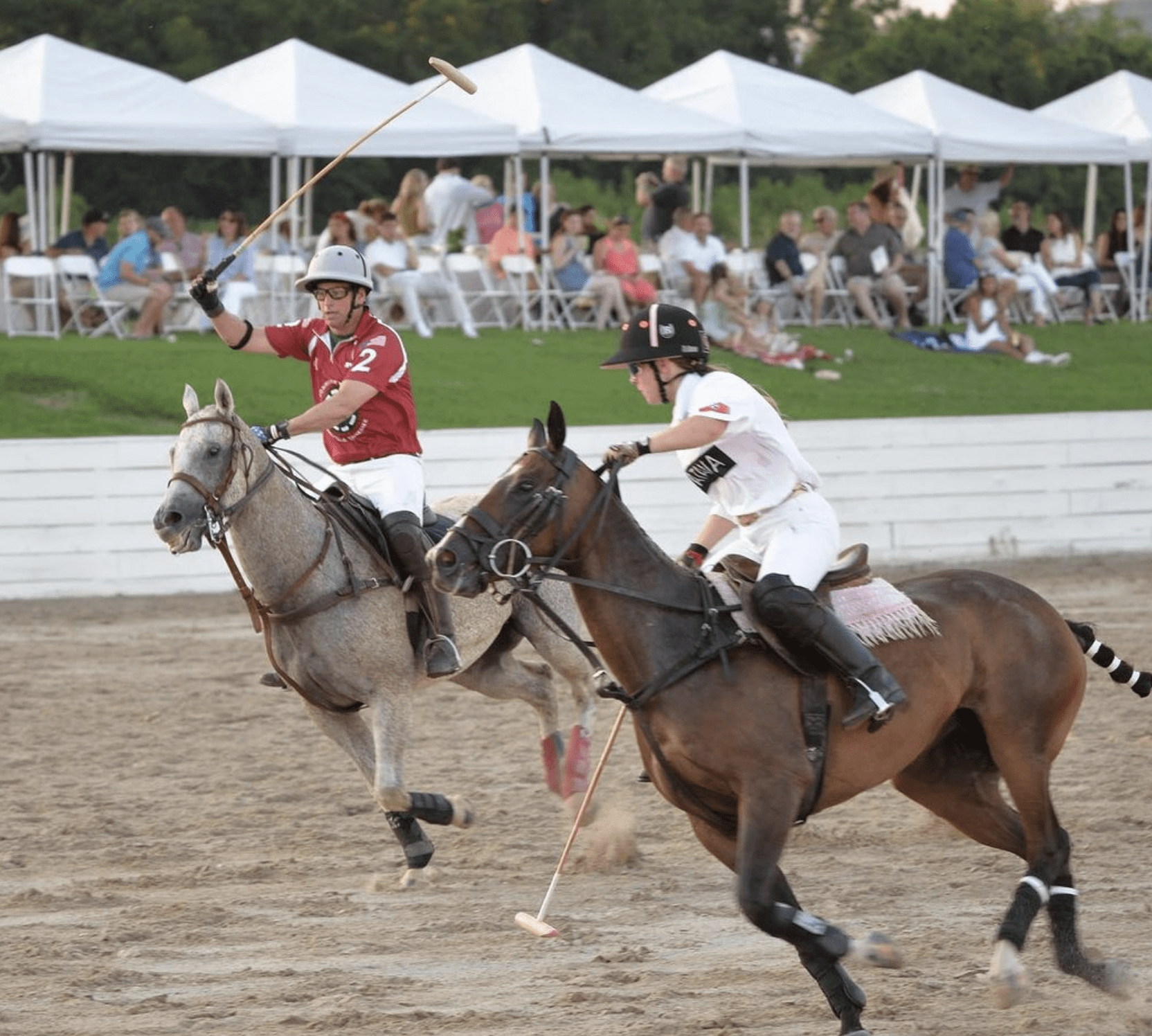 Franklin Polo Academy - Hap & Harry’s International Cup