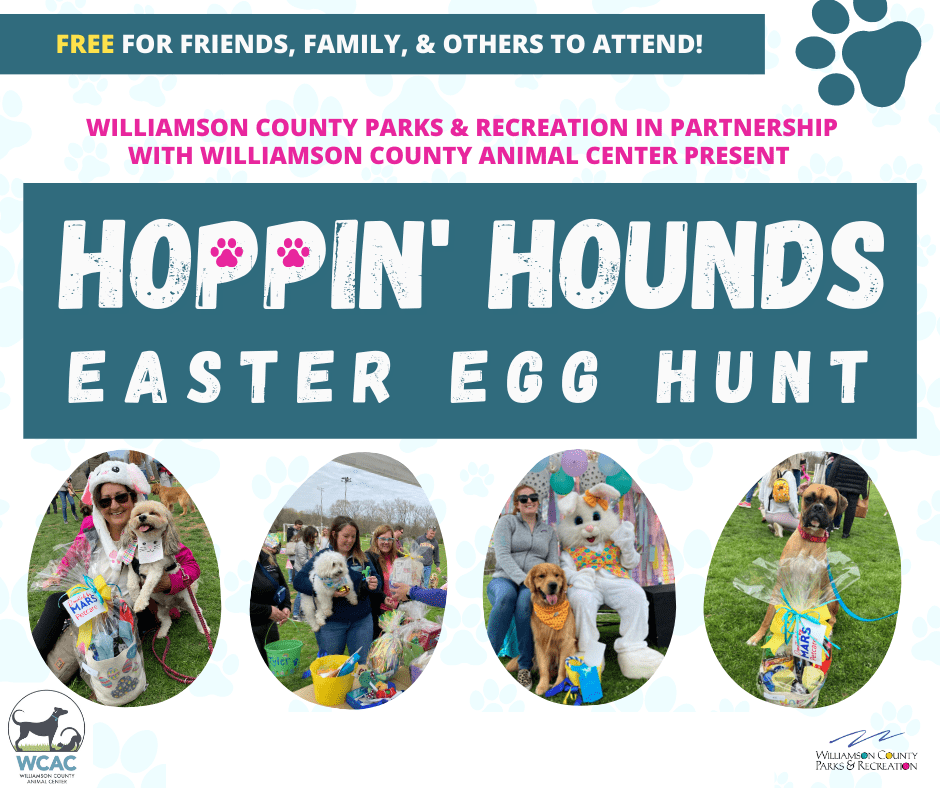 Hoppin' Hounds Egg Hunt in Franklin, TN at Williamson County Parks & Recreation.