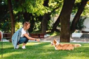 Brentwood, Tennessee dog park, Miss Peggy's Dog Park.