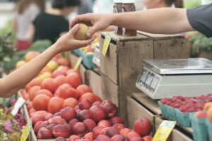 Farmers Market in Franklin, Tennessee - Fruit for purchase.