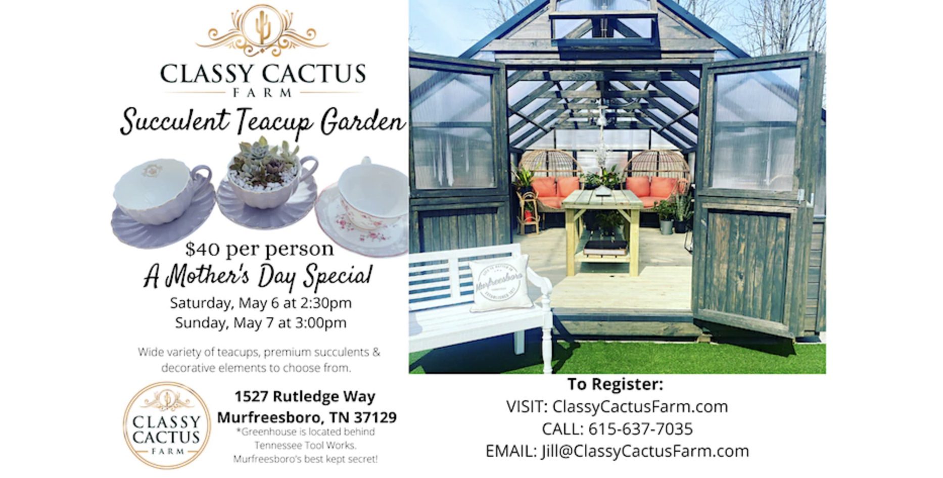 Succulent Teacup Garden - Mother's Day Special Murfreesboro TN